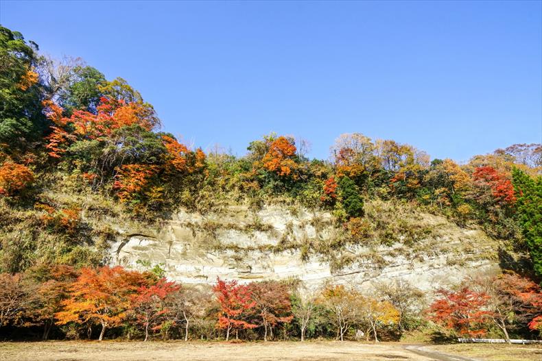 白い岩肌が印象的な梅ヶ瀬渓谷の紅葉