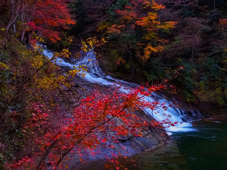 養老川にある「養老の滝」と呼ばれる栗又の滝と紅葉