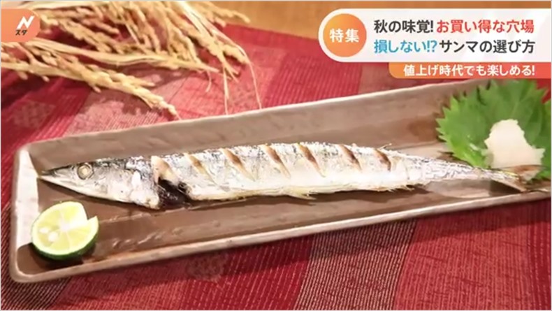 秋刀魚の選び方