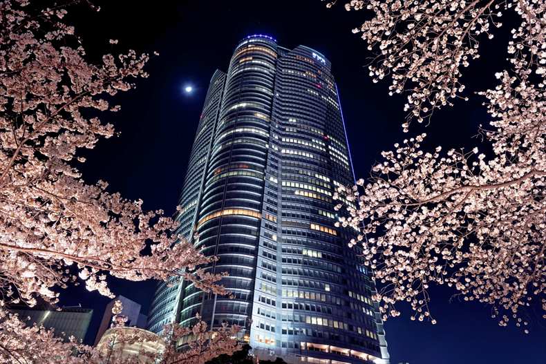 東京の夜桜スポットイトアップ期間と見頃