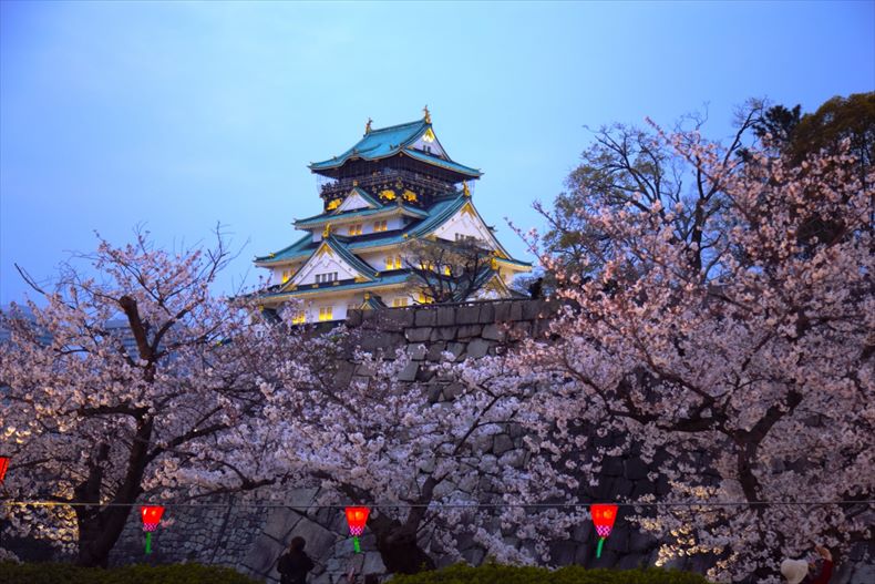 大阪城公園の桜の種類とおすすめスポット