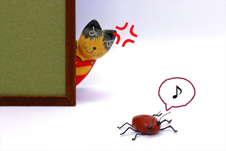 部屋にゴキブリがいるか確かめる方法