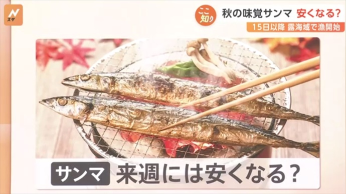 くびれ秋刀魚の美味しい食べ方