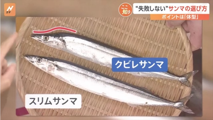 くびれ秋刀魚の美味しい食べ方